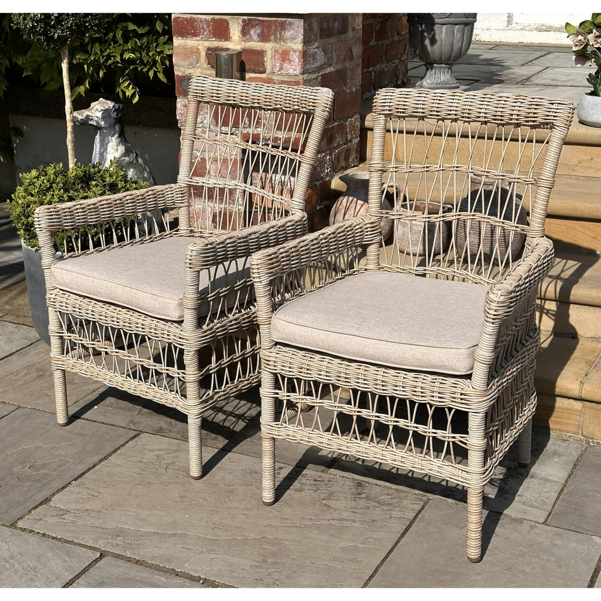 Provence dining chair cut-out