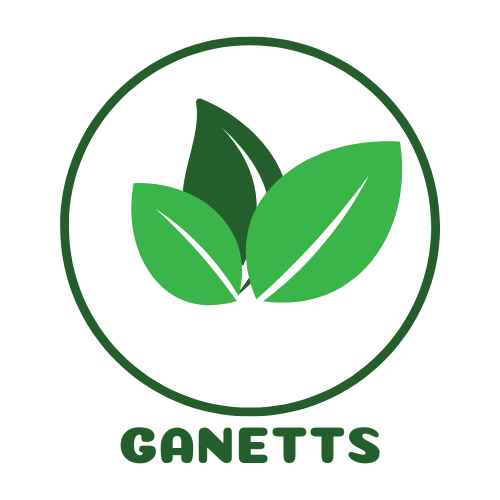 ganetts